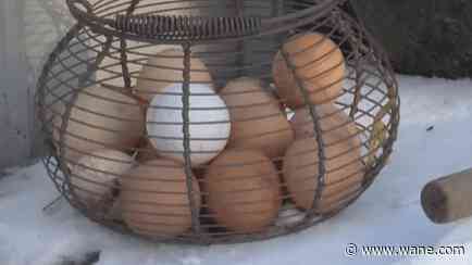 Local poultry farms see egg sales jump amidst high store prices