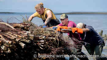 Generation Z: Studie widerlegt Vorurteile über Arbeitsmoral