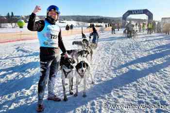 Vlaming Stefan (38) wint WK sledehondenrennen, en daarvoor had hij niet eens husky’s nodig: “Ze zijn zoveel sterker en trekken veel harder”