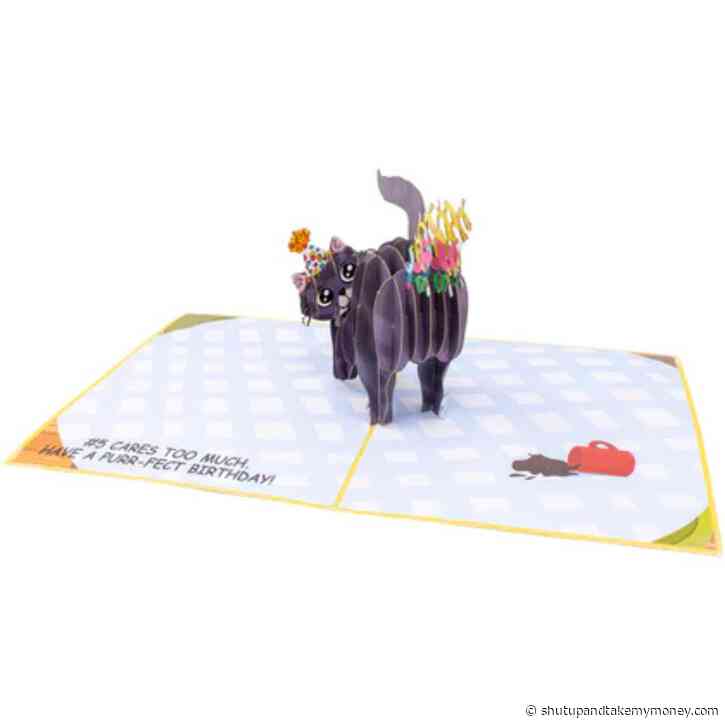 Purrfect Birthday Funny 3D Cat Greeting Card