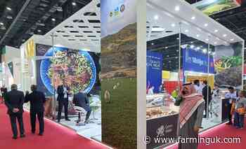 Welsh Lamb PGI in the Middle East for major promotional push