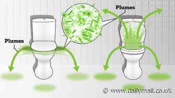 Horrifying truth about what happens if you don't close the toilet lid when you flush