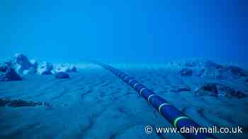 Meta unveils plan for world's longest undersea cable project spanning 50,000km - longer than the Earth's circumference