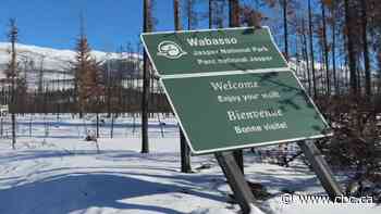 Massive construction worker camp planned for Jasper’s rebuild