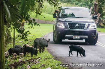 Hawaii bill would subsidize fencing to control ungulates