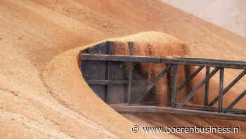 Saoedi-Arabië harkt extra veel tarwe binnen