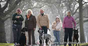 Five extraordinary dogs unveiled as finalists for Crufts Hero Award