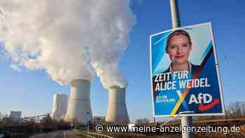 Wirtschaftsvertreter warnen vor AfD-Plänen