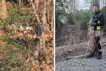 Damhert raakt verstrikt in omheining en slaat op de vlucht met gewei vol draden