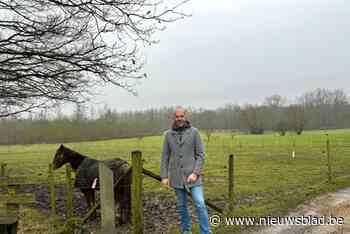 N-VA wil register voor eigenaars weidedieren, maar stuit op njet van meerderheid