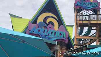 Aquatica Orlando's 'Beach Nights' movie screening experience returns