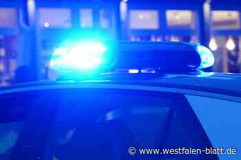 Jugendlicher Einbrecher kommt nicht weit