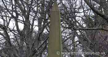 Renovations proposed for memorial of 17th century North Shields reformer