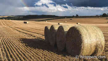 Why You Should Try Shooting in 16x9