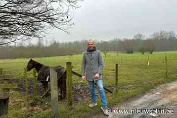 N-VA wil register voor eigenaars van weidedieren, maar stuit op njet van meerderheid