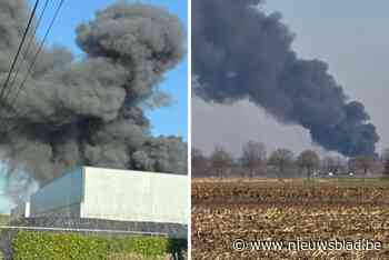 Drie loodsen volledig uitgebrand na brand op bedrijventerrein in Evergem: “Er blijft nog een ploeg de hele nacht ter plaatse”