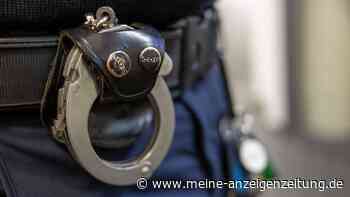 Frau überführt sich mit Telefonat im Zug selbst
