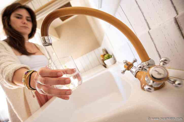 Polluants éternels: une ONG saisit le Conseil d'Etat pour demander le retrait d'un herbicide "présent partout mais recherché nulle part"