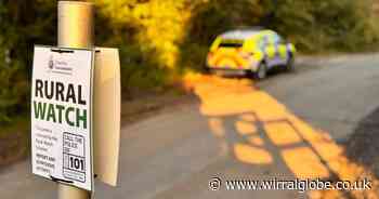 Horse taken into care of RSPCA and improvement warning issued as warrant executed