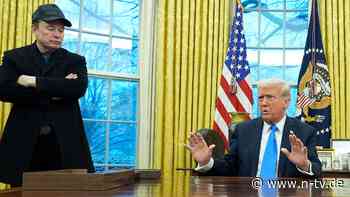 Nicht Chef der Abteilung Doge: Weißes Haus: Musk ist Berater ohne Entscheidungsgewalt