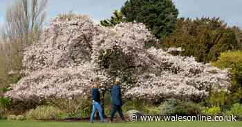 When the Met Office says warmer weather will arrive with highs of 16°C