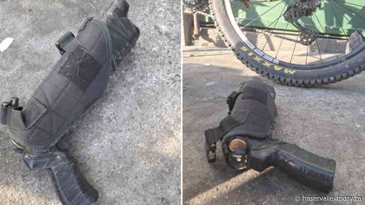 Task force police arrest Abbotsford man for possessing a loaded gun, breaching conditions