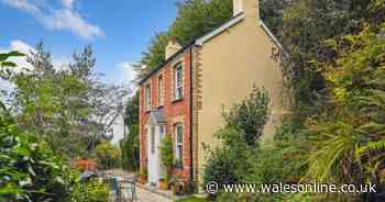 Cute cottage hidden within its own little woodland waiting to be discovered