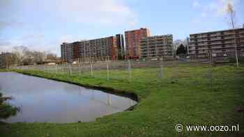 Start bouw Peter Zuidlaan gepland op 19 februari