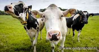 Stikstofplan LTO hint op oude wens tot samenvoeging natuurgebieden: ‘Vloeken in de kerk’