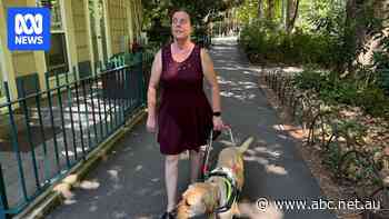 Uber sued in Federal Court over repeated guide dog refusals