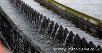 Northumbrian Water asks to increase bills by more in appeal to regulator