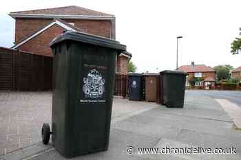 New bin rules in England mean everyone could get four different bins in their homes