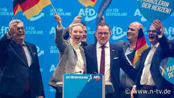 Behörden ermitteln: Spendete Strohmann Millionensumme an AfD?