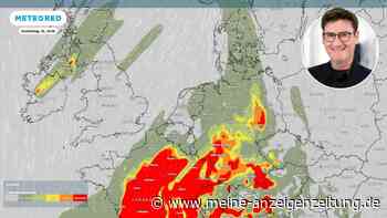 „Das ist nicht normal“: Auf extremen Wetter-Umschwung folgt „Pollen-Explosion“ – Experte ist alarmiert