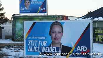 Illegale Parteienfinanzierung? AfD droht Millionenstrafe