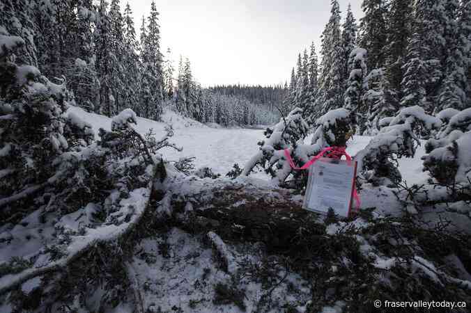 Judge rules RCMP remarks racist, but B.C. pipeline protesters’ convictions will stand