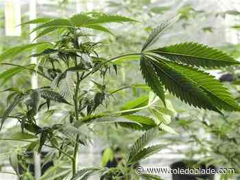 Marijuana supporters accuse lawmakers of trying to kill legal sales