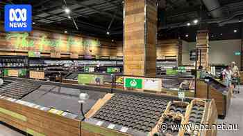 Bare shelves in Queensland food bowl spark calls for distribution hub