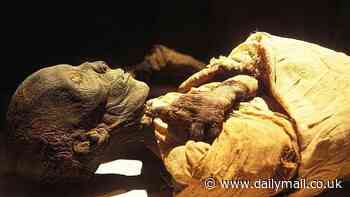 Egypt announces first new royal tomb since King Tutankhamen was discovered over 100 years ago