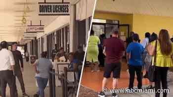Changes coming to Miami-Dade DMV offices to alleviate lengthy wait times: Tax collector
