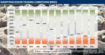 Lacklustre end to 2024 for sheep processing, so what's behind the downturn?