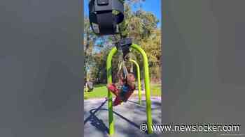 little ninja warrior