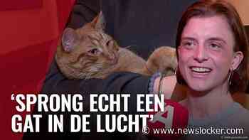 Vermiste kroegkater Sambal na anderhalve maand weer terug