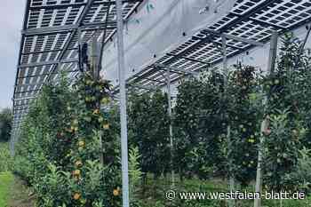 Agri-PV-Anlage geplant