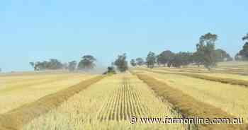 Bonus for WA growers as analysts add 1.6m tonnes to wheat crop estimates