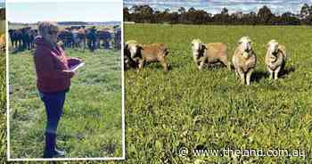 Money to be made in pasture plant diversity