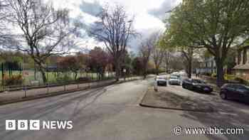 Boys charged after machete and zombie knife seized