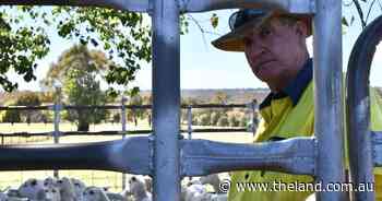 The move to shedding sheep that's allowed this farmer to stay on farm longer