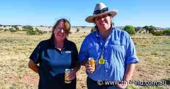 Photos: See who attended the 45th Don Brown Memorial Flock Ewe Competition