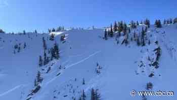 Skier dies in avalanche near Golden, B.C.